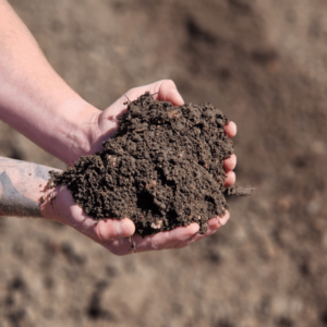 Eco 10mm Super Soil